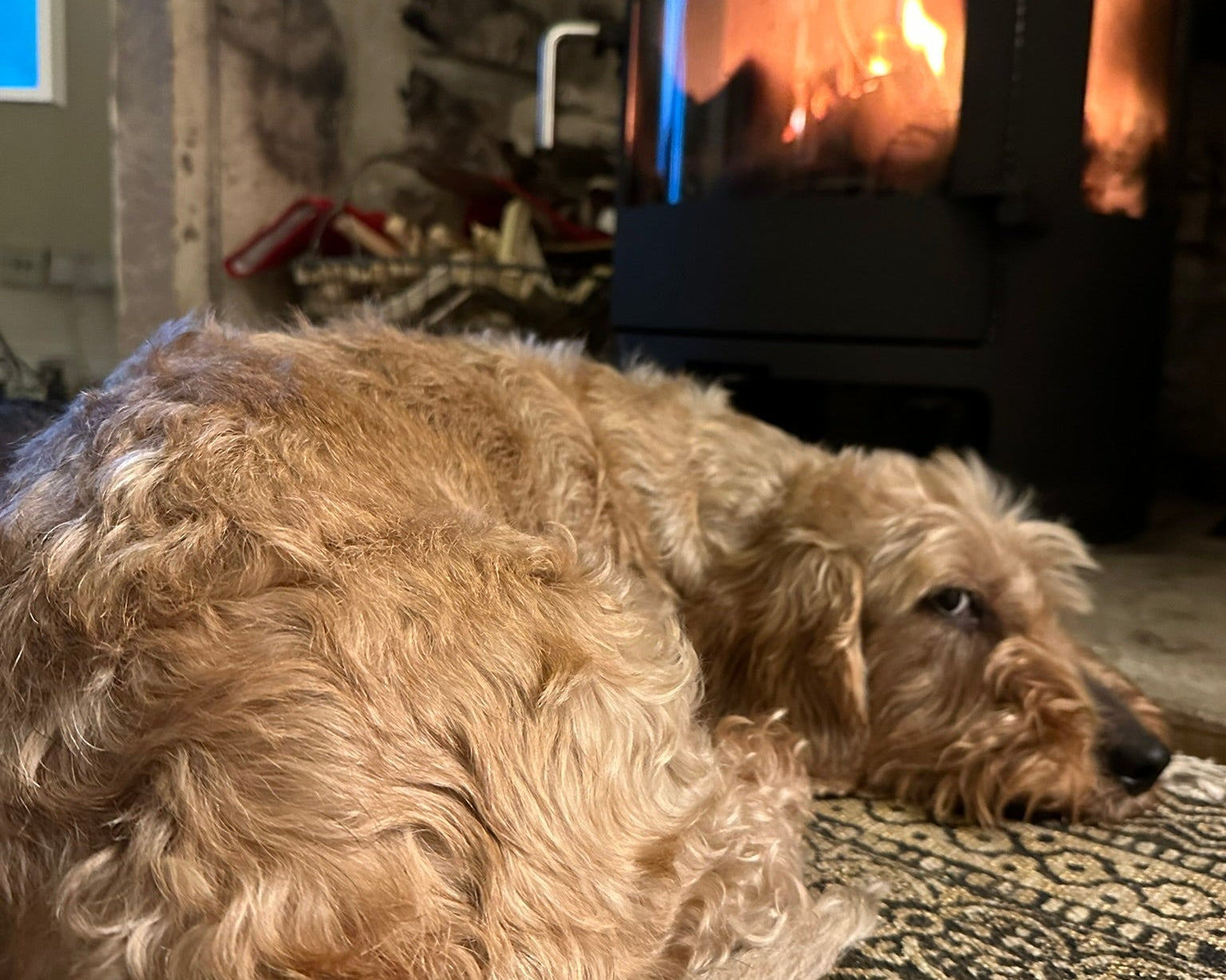 When the skies turn grey: the French art of making home your sanctuary