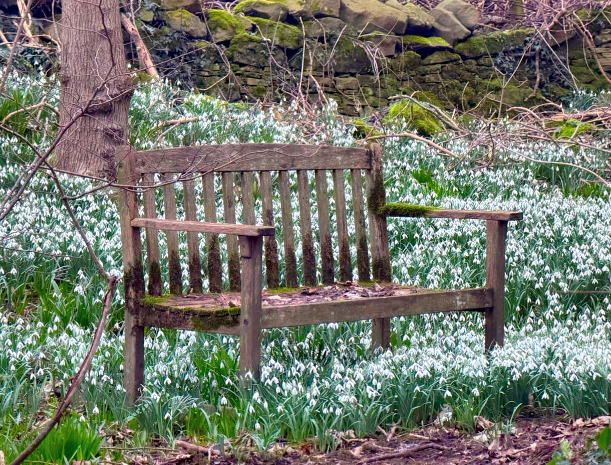 Spring has Arrived! A Little French Reset for Lighter Days