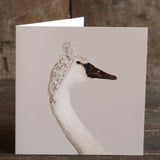 Swan Greeting Card